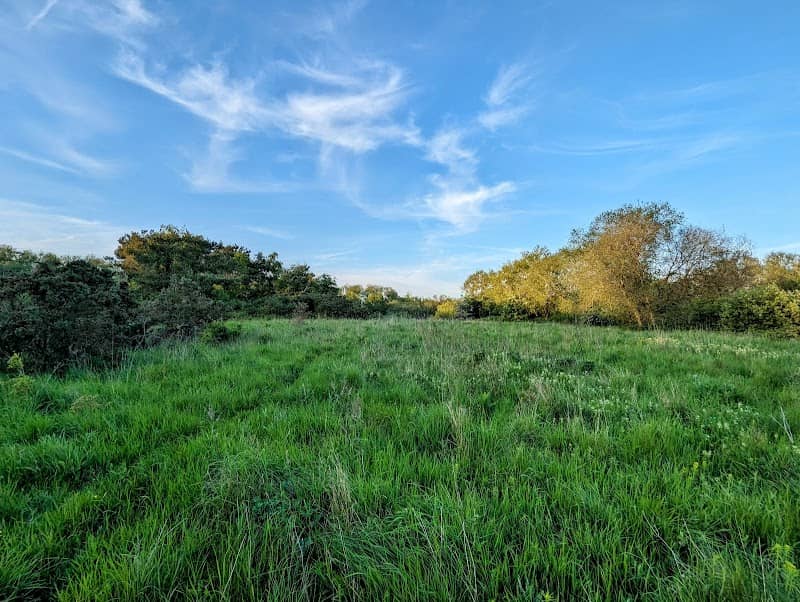 Hollybush Hill - Image 1