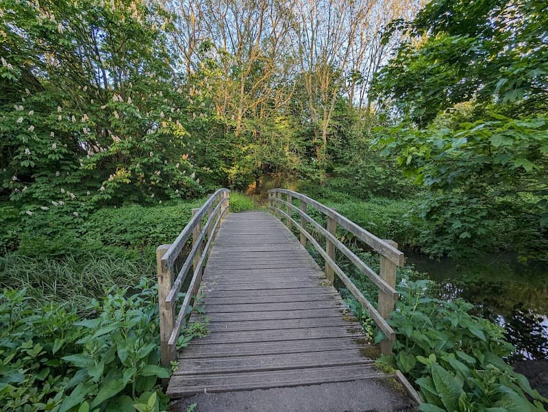 Hollybush Hill - Image 2