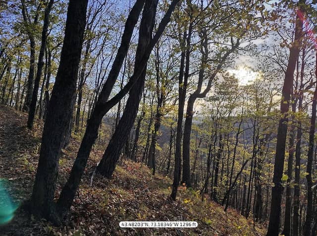 Endless Brook Trailhead - Image 2
