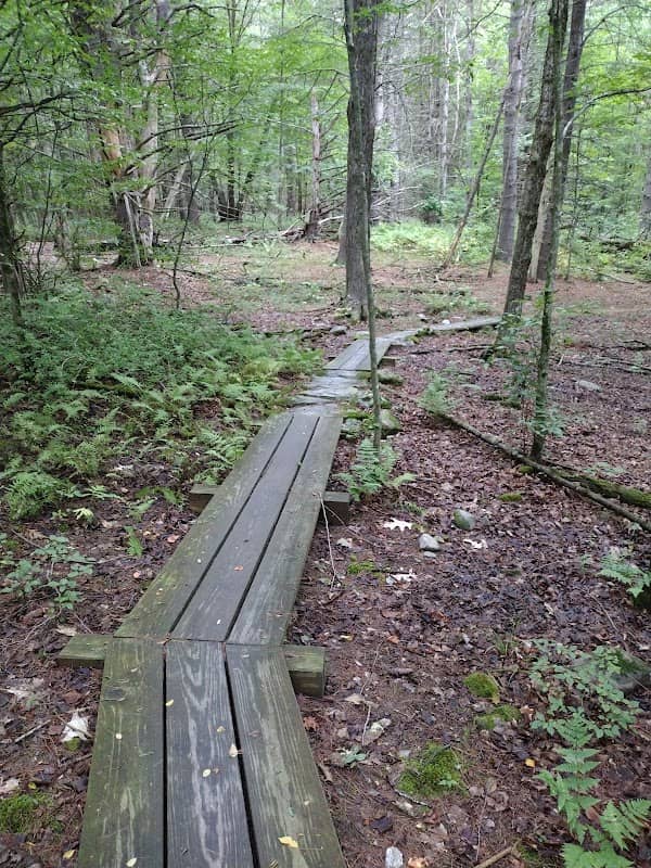 Endless Brook Trailhead - Image 1