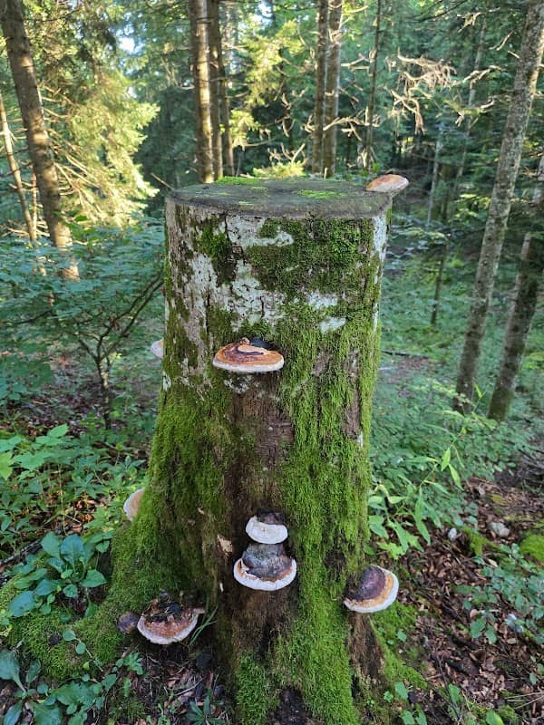 Sentier des 3 villages - Image 1