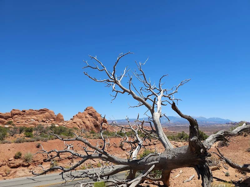 Moab - Image 1