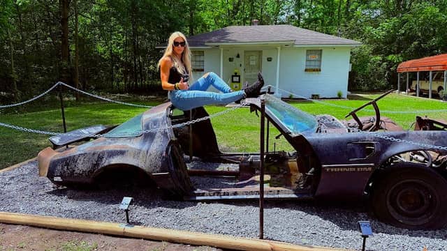 Bandit Trans Am - Image 1