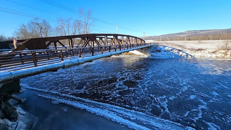 Scenic Overlook by the Bridge - Image 2