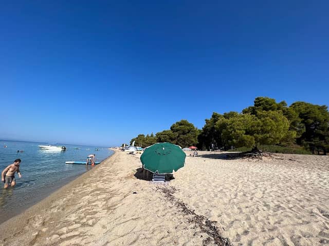 Great Lagomandra Coast - Image 1