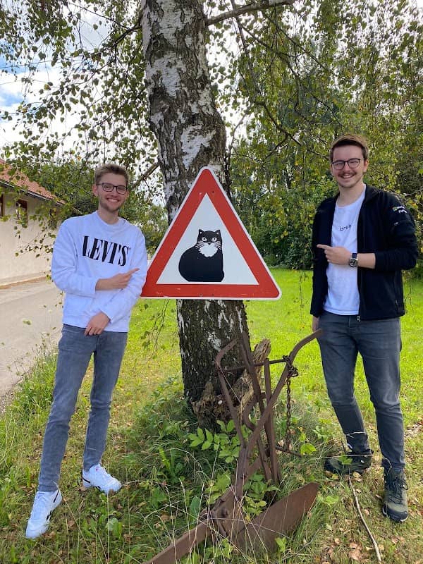 Verkehrshinweis Katze - Image 1