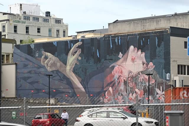 Dunedin Street Art Trail - Image 2