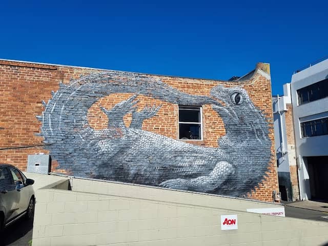 Dunedin Street Art Trail - Image 3