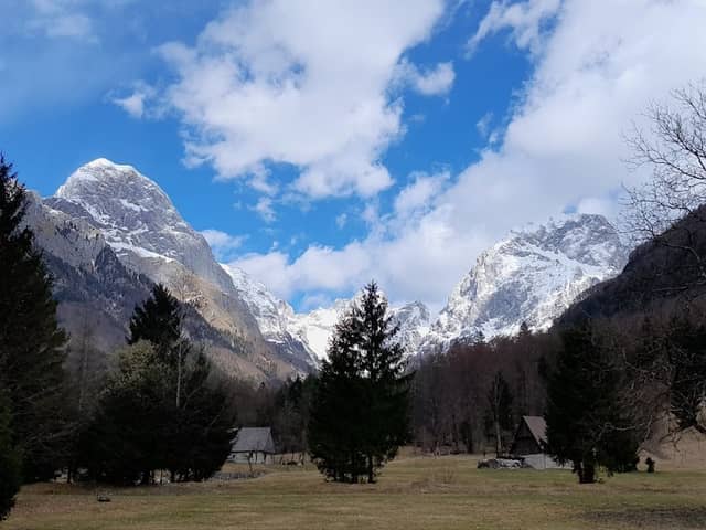 BOVEC - Image 1
