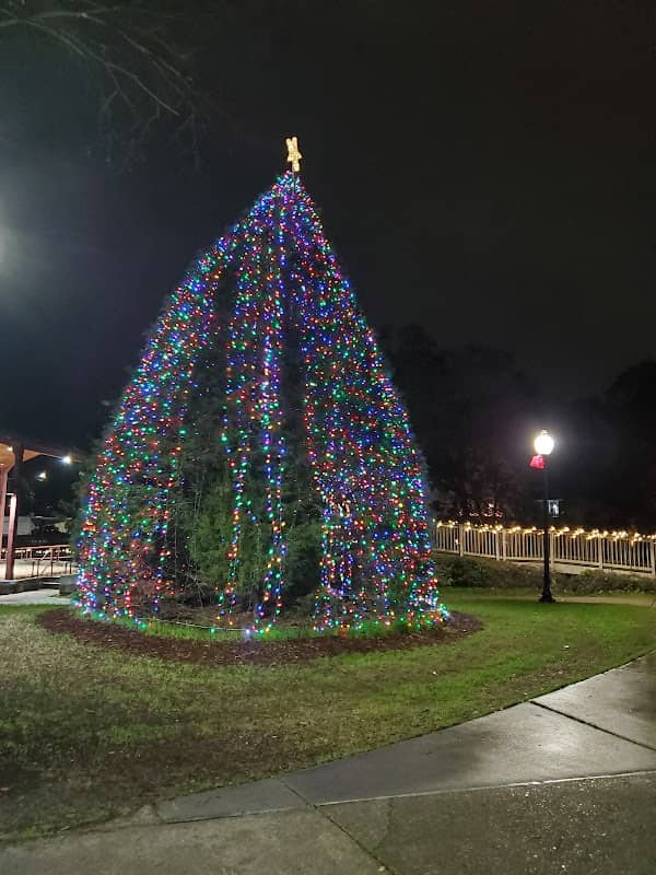 Town Square Park - Image 1