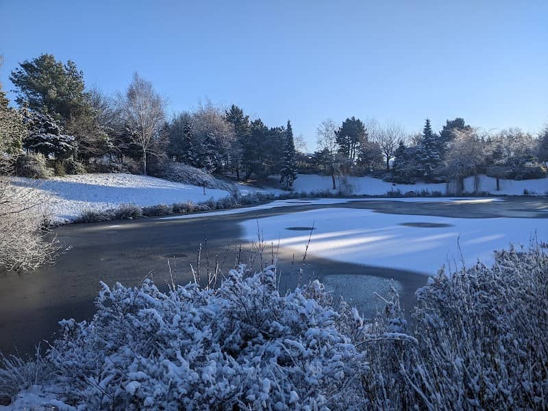 The Big Pond - Image 2
