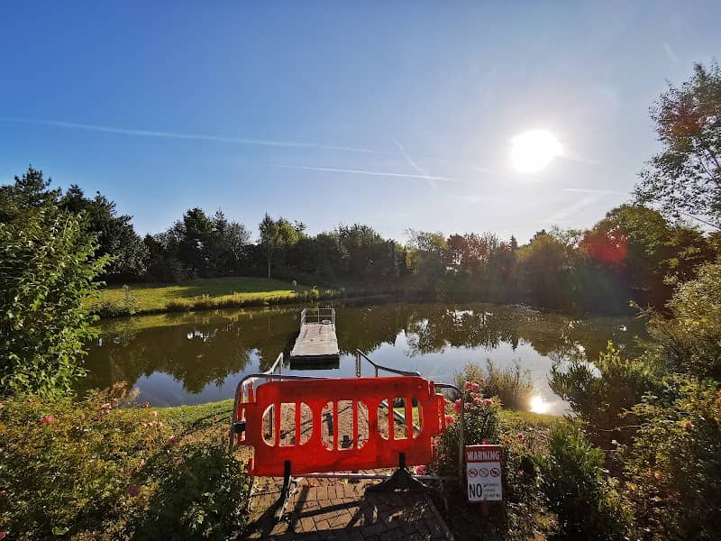 The Big Pond - Image 1