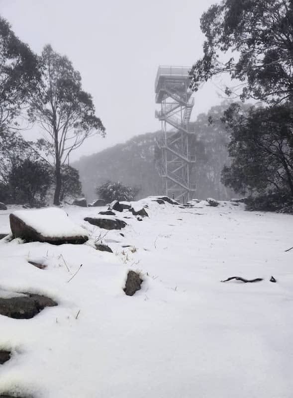 Mount Donna Buang Toboggan Runs - Image 2