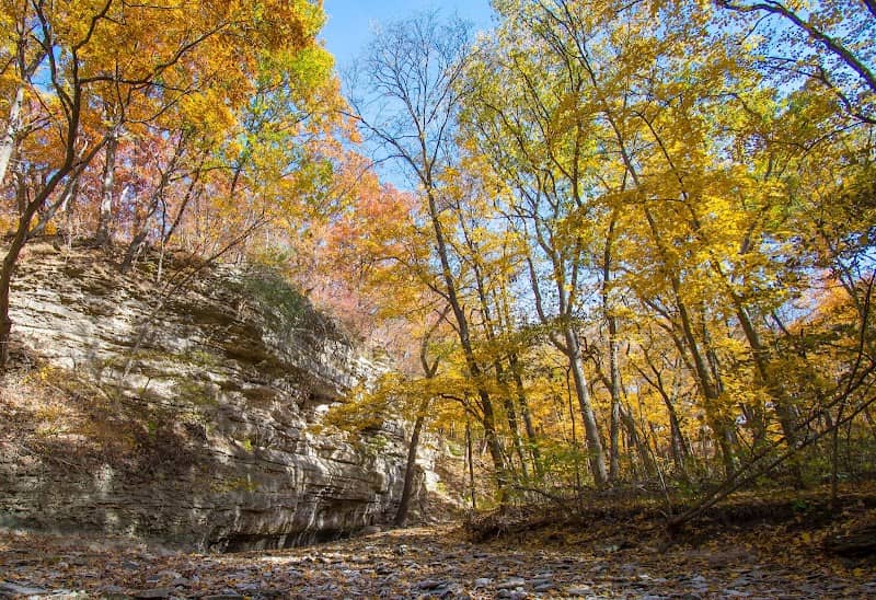 Cedar Glen State Natural Area - Image 1