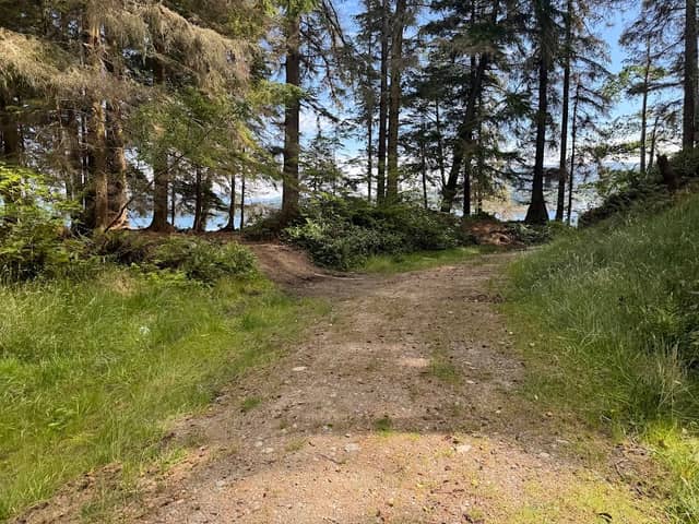 Ledge Point Trail - Image 2