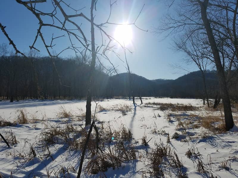 Kickapoo Bottoms Nature Preserve - Image 2
