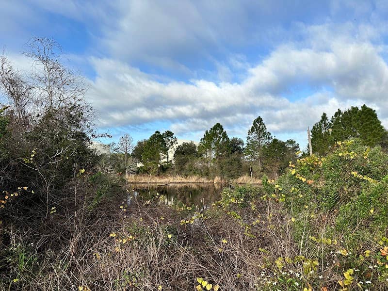 Blue Springs Trail (Debary Plantation Trailhead) - Image 1