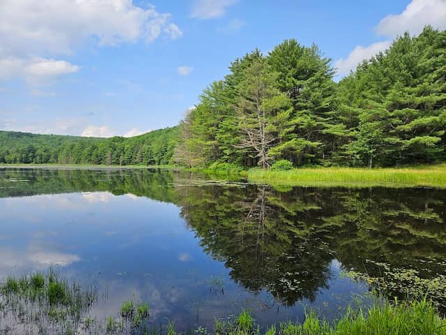 Hawkins Pond Nature Area - Image 1