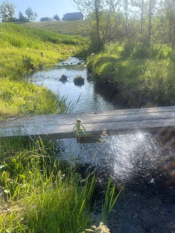 Kermit’s Creek - Image 1