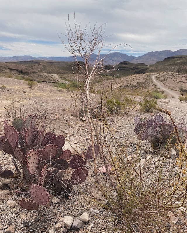 West Texas Adventure Co. - Image 2