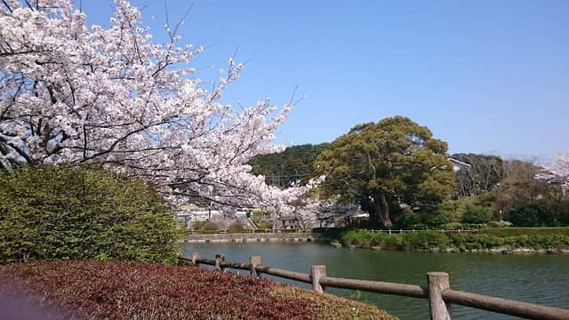 Kumakoshi-ike Park - Image 1