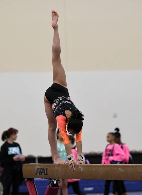 Tennessee Elite Gymnastics - Image 1