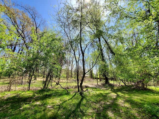 Oakdale Park - Image 2