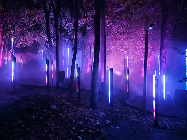 Light Cycles - Image 3