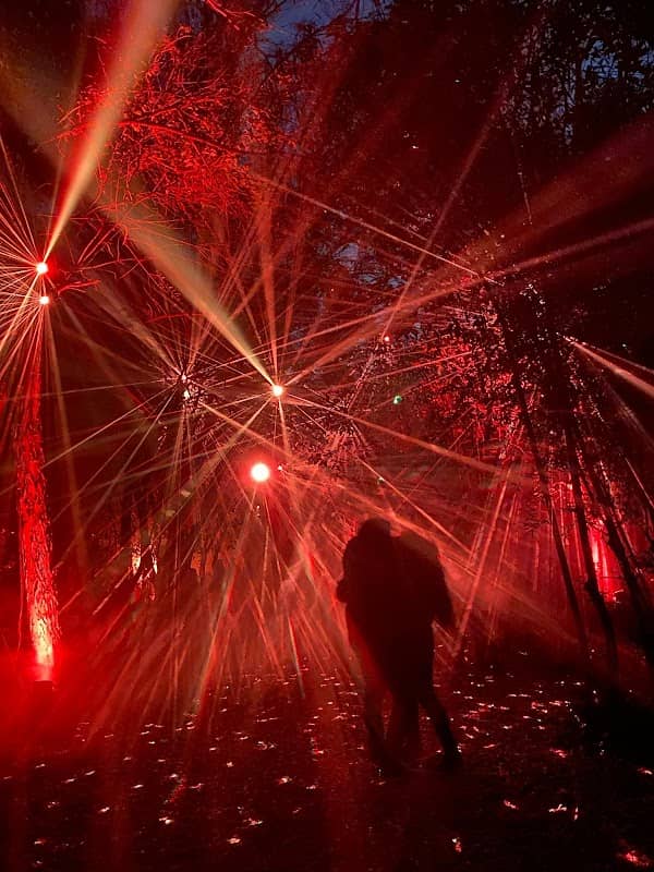 Light Cycles - Image 1