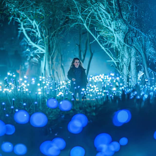 Light Cycles - Image 2