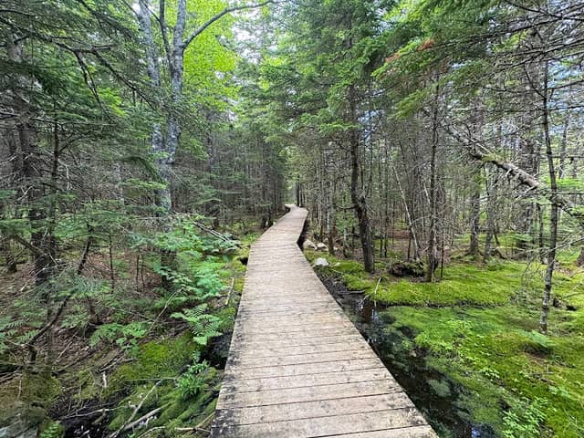 Caribou Plain - UNESCO Fundy Biosphere Reserve Amazing Place - Image 2