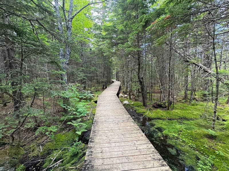 Caribou Plain - UNESCO Fundy Biosphere Reserve Amazing Place - Image 2