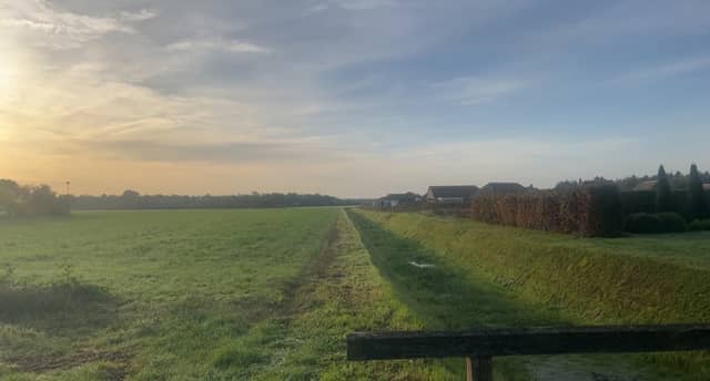 Weide langs de Dommel - Image 1