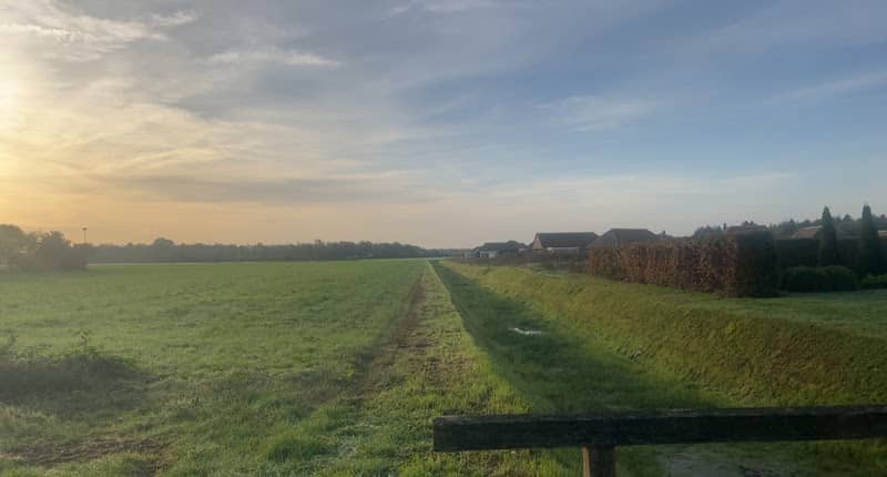 Weide langs de Dommel - Image 1