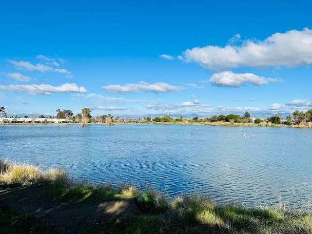 Los Gatos Creek Trail - Image 2
