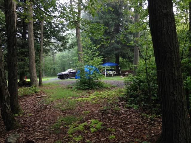 Tuscarora State Forest Campsite 9 - Image 1