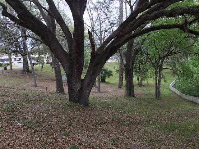 High Springs Sinkhole - Image 2