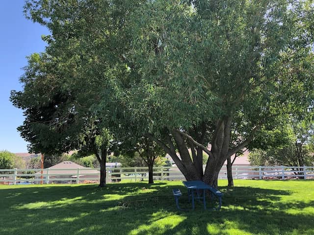 Enterprise Neighborhood Park - Image 2