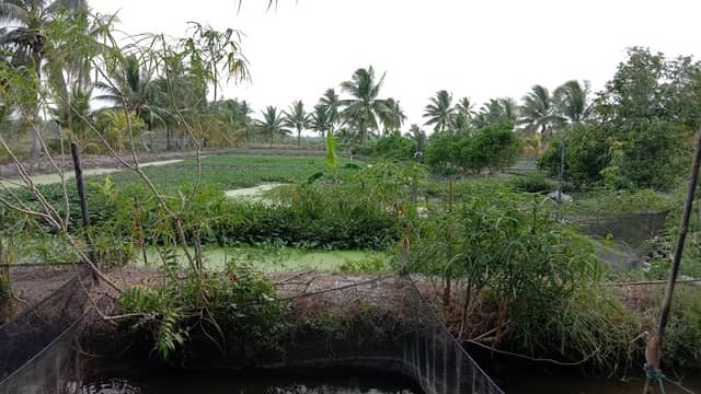 Tambak Wisata Tradisonal - Image 1