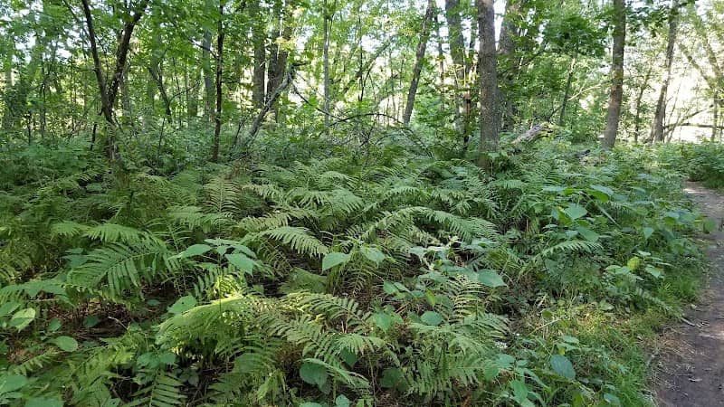 Isle of Ferns Park - Image 1