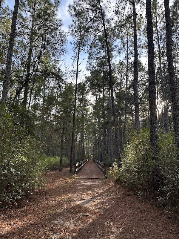 Big Thicket National Preserve - Image 2