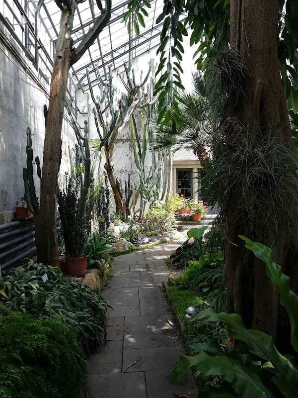 Palmenhaus Konstanz - Image 1