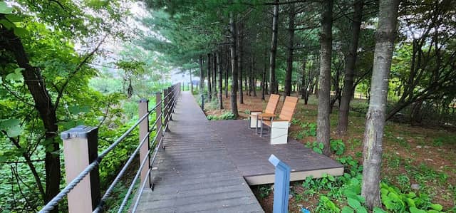인곡천변 산책로 - Image 2