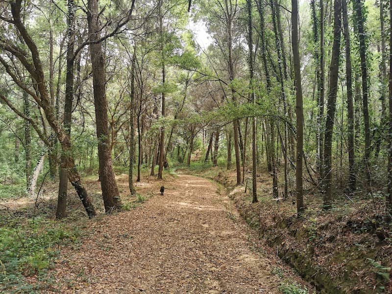 Pena da Gouvinha - Image 1
