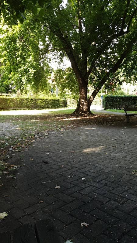 Parco Comunale - Image 2