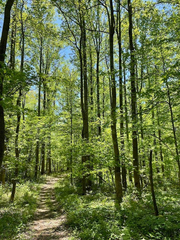 Mary Gray Bird Sanctuary - Image 1