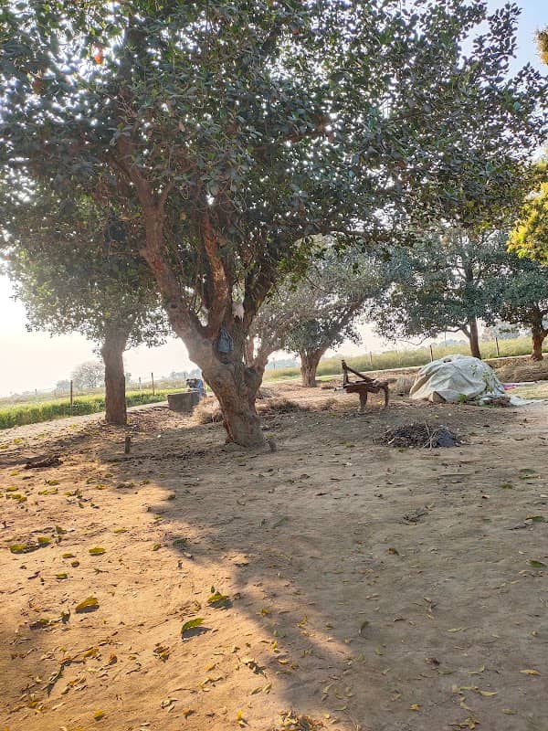 Katahal ka bagiya - Image 1