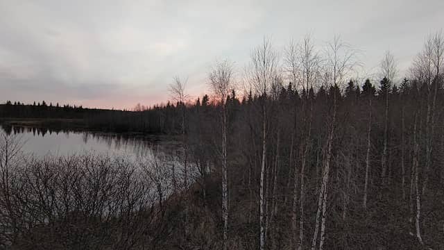 Niskanperä Bird Watching Tower - Image 1