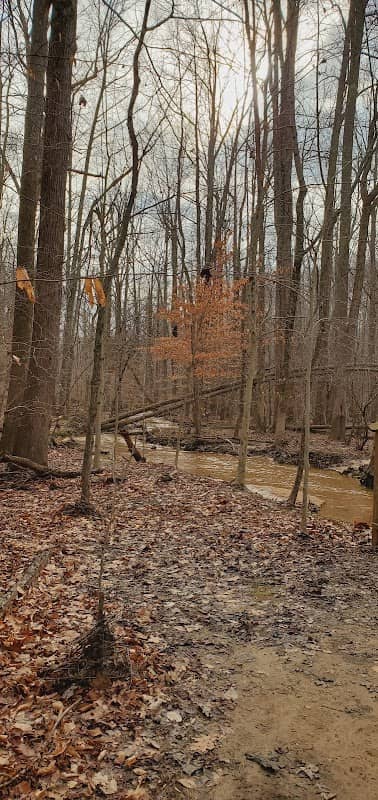 American Chestnut Land Trust Prince Frederick Trailhead - Image 2
