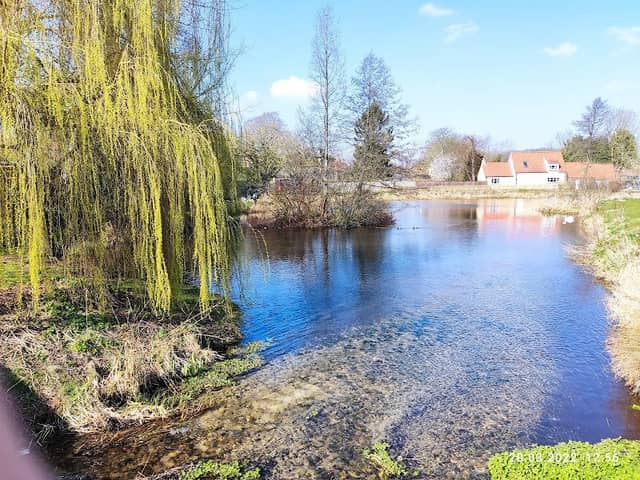 Norton Mill Pond - Image 1